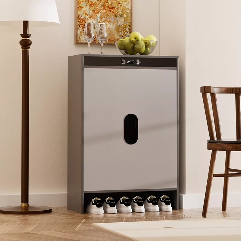 Graphene Electric Heating Timing Drying Shoe Cabinet