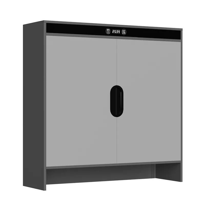 Graphene Electric Heating Timing Drying Shoe Cabinet