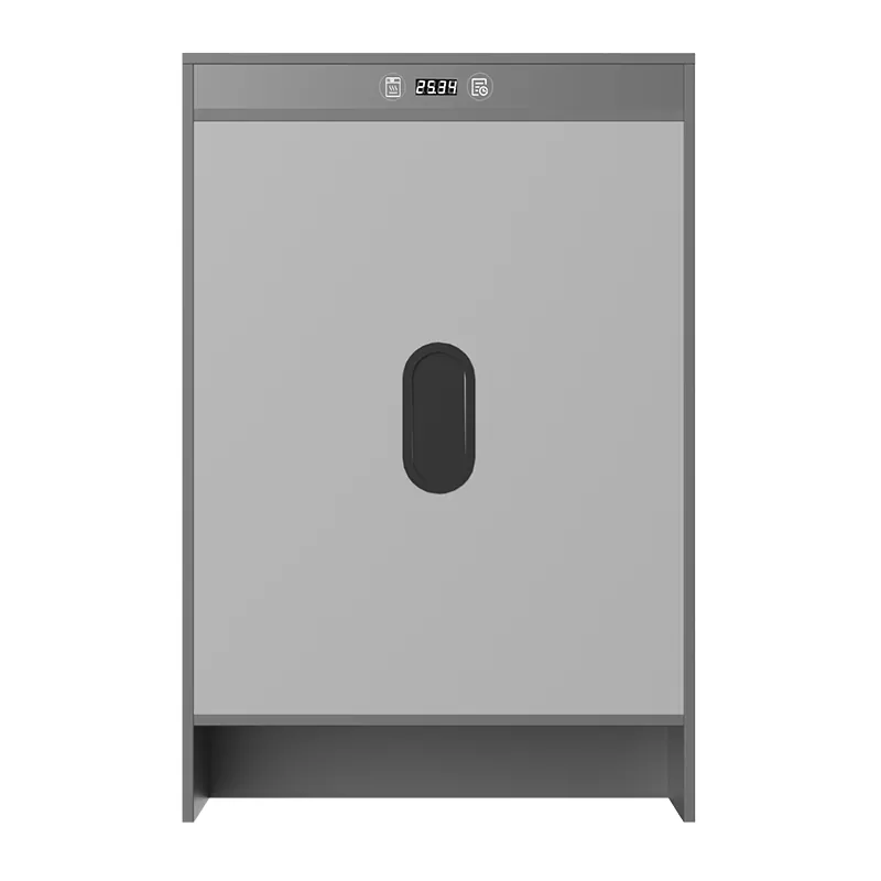 Graphene Electric Heating Timing Drying Shoe Cabinet