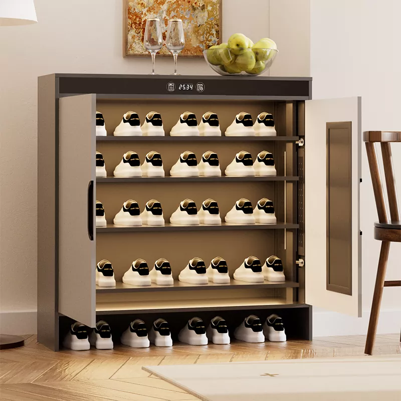 Graphene Electric Heating Timing Drying Shoe Cabinet